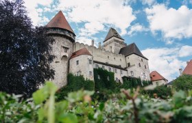 Burg Heidenreichstein, © Waldviertel Tourismus, Line Sulzbacher Burg Heidenreichstein mit Türmen und bewachsenen Mauern vor blauem Himmel.