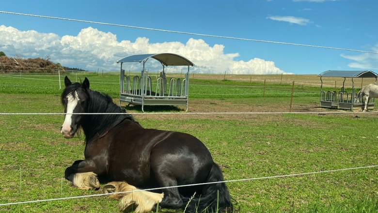 Alice lying down, © Andreas Artner Alice lying down, © Andreas Artner