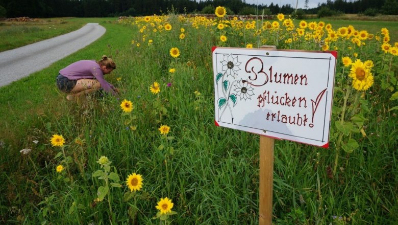 Umgebung, Blumenpflücken erlaubt, © Thomas Starkl Umgebung, Blumenpflücken erlaubt, © Thomas Starkl