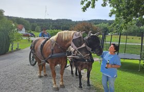 Aktivstall Hirschenwies, © Birgit Libal Aktivstall Hirschenwies, © Birgit Libal