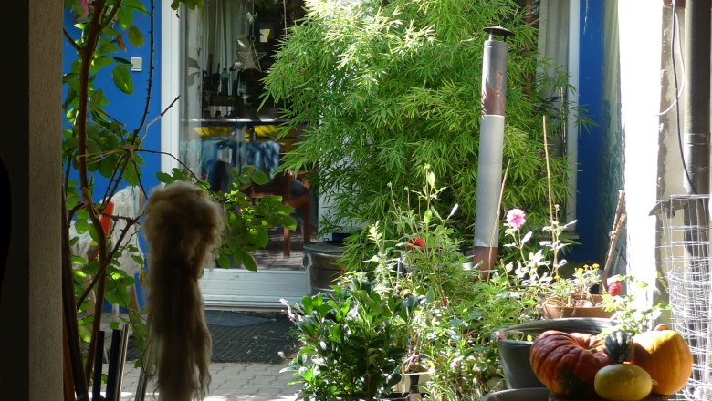 The spindle, © Die Spindel The spindle, © Die Spindel