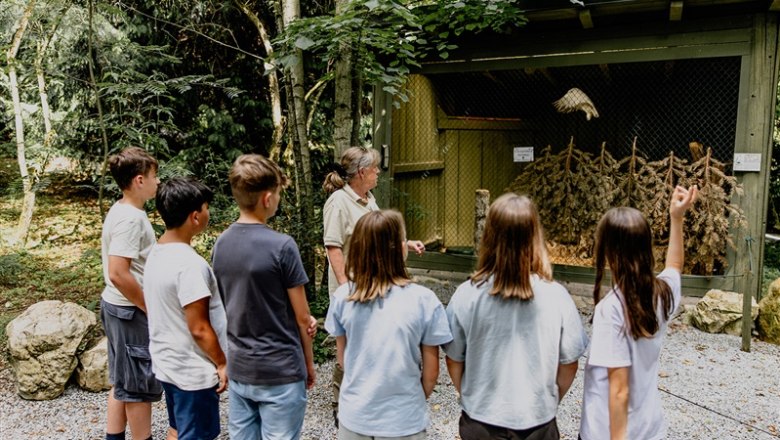 NÖ Falknerei- und Greifvogelzentrum, © Waldviertel Tourismus, Matthias Streibel NÖ Falknerei- und Greifvogelzentrum, © Waldviertel Tourismus, Matthias Streibel