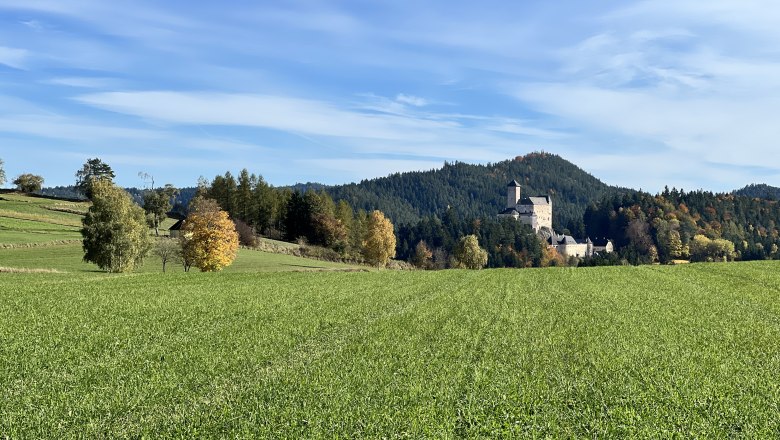 Burg Rappottenstein vom Hof aus, © Anna-Maria Stocker Burg Rappottenstein vom Hof aus, © Anna-Maria Stocker