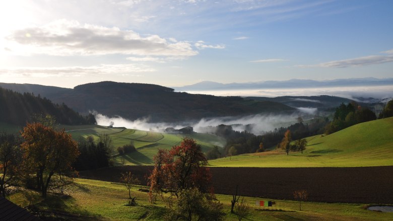 Südliches Waldviertel, © Hotel des Glücks Landschaft im südlichen Waldviertel mit Hügeln, Bäumen und Nebel.
