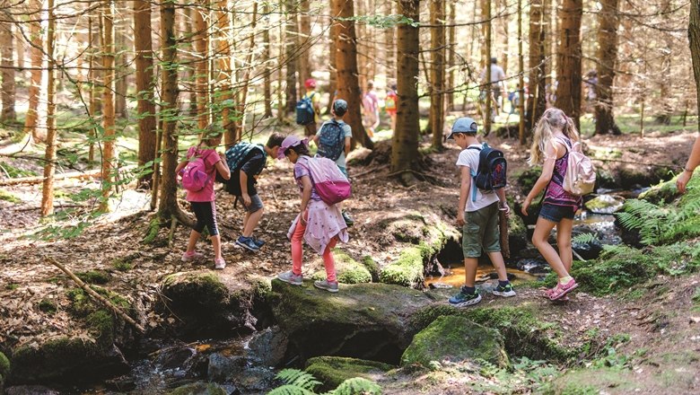 Wanderung, © Wunderwelt Wald, Fotograf Benjamin Wald Wanderung, © Wunderwelt Wald, Fotograf Benjamin Wald
