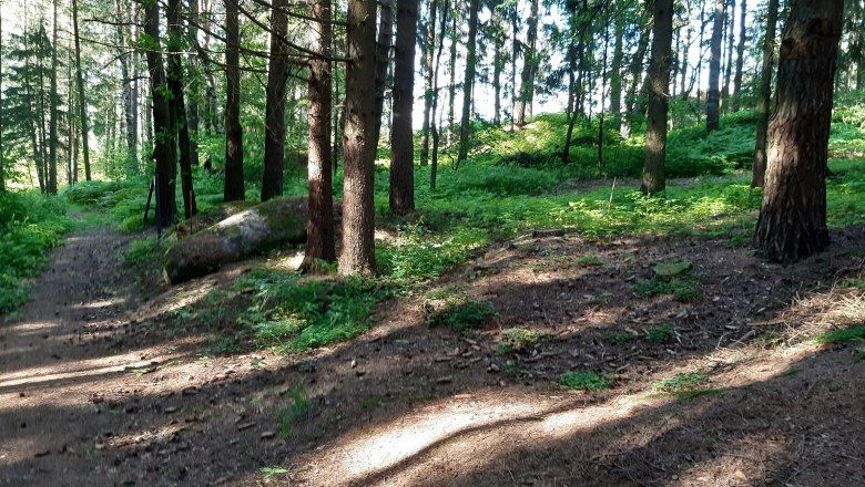 Umgebung, © Ferienhaus Leopold Umgebung, © Ferienhaus Leopold