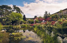 Kittenberger Erlebnisgärten, © Andreas Hofer Photography Ein malerischer Garten mit Teich, bunten Blumen und Bäumen unter einem blauen Himmel.
