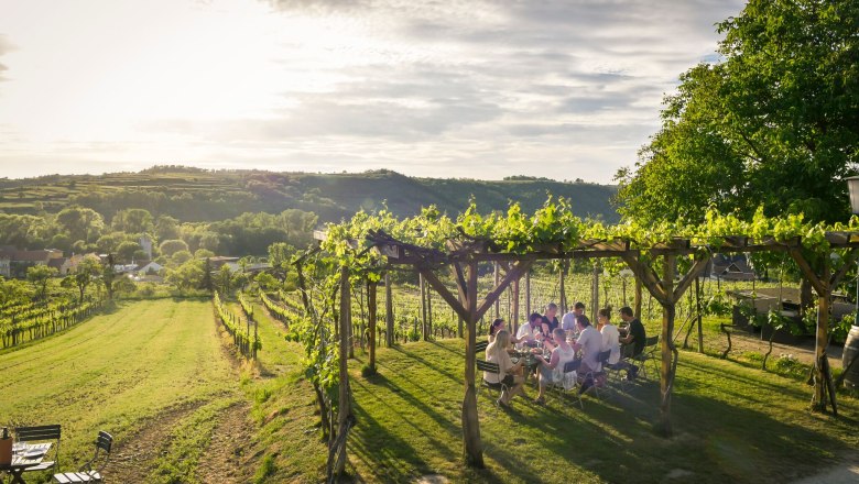 fall-0248, © Robert Herbst fall-0248, © Robert Herbst