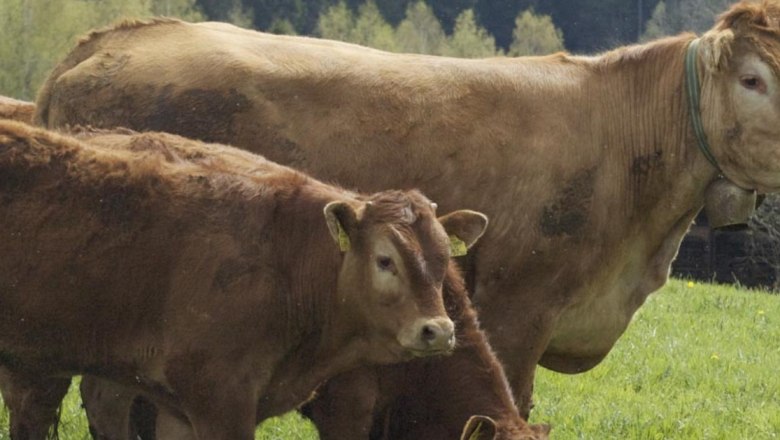 Johann Eigner 3, © Johann Eigner Johann Eigner 3, © Johann Eigner