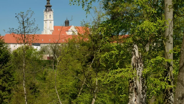 Stiftswald Altenburg, © Matthias Schickhofer Blick auf ein Klostergebäude mit Turm hinter Bäumen im Stiftswald Altenburg.