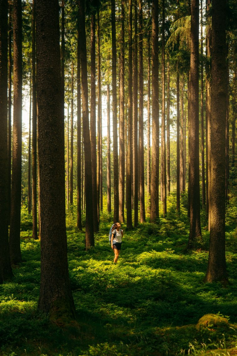 Wandern am Thayatalweg 630, © Waldviertel Tourismus, Melanie Többe Wandern am Thayatalweg 630, © Waldviertel Tourismus, Melanie Többe