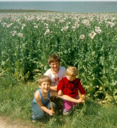 Demeterhof Rockenbauer, © Demeterhof Rockebauer Demeterhof Rockenbauer, © Demeterhof Rockebauer