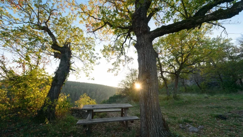 Ruine Schimmelsprung, © Matthias Schickhofer Ruine Schimmelsprung, © Matthias Schickhofer