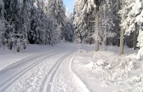 Langlaufen in Ottenschlag © Gemeinde Ottenschlag, © Waldviertel Tourismus Langlaufen in Ottenschlag © Gemeinde Ottenschlag, © Waldviertel Tourismus