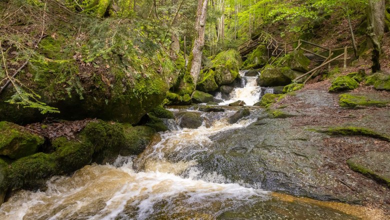 Ysperklamm, © Martin Rehberger Klares Wasser der Ysper fließt über Steine im schattigen Abschnitt der Ysperklamm