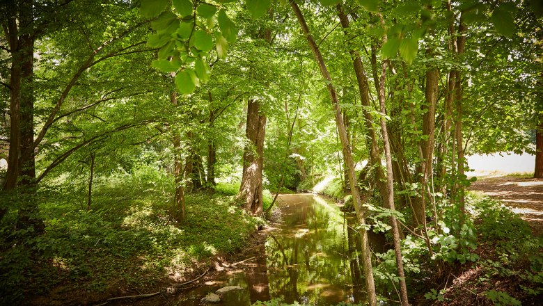 schloss-horn, © lichtstark.com schloss-horn, © lichtstark.com