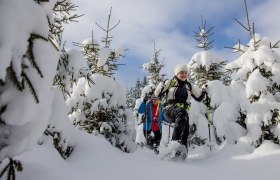 Schneeschuhwandern im Waldviertel, © Waldviertel Tourismus/katrinkerschbaumer.photography Zwei Personen beim Schneeschuhwandern durch verschneiten Wald.