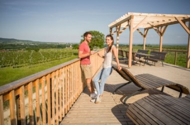 Weingartenschank am Winzerdorfweg, © POV, Robert Herbst Weingartenschank am Winzerdorfweg, © POV, Robert Herbst