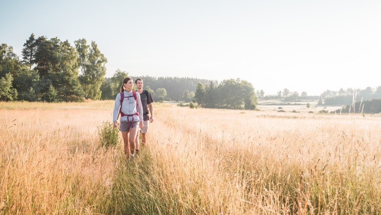 Hiking in Moorbad Harbach, © Studio Ideenladen Hiking in Moorbad Harbach, © Studio Ideenladen