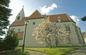 Pfarrkirche Maria Himmelfahrt, © Marktgemeinde Rastenfeld Pfarrkirche Maria Himmelfahrt mit blühendem Baum im Vordergrund.