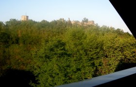 Aussicht Burgruine Gars, © Gruber Blick auf die Burgruine Gars hinter Bäumen bei Sonnenuntergang.