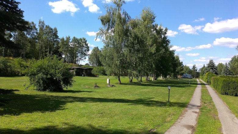 Seecamping Langau, © Hannes Messmann Green meadow with trees and a narrow path under a blue sky.