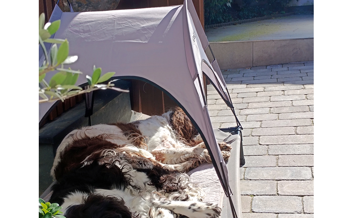 Furry noses, © G&G Furry noses, © G&G