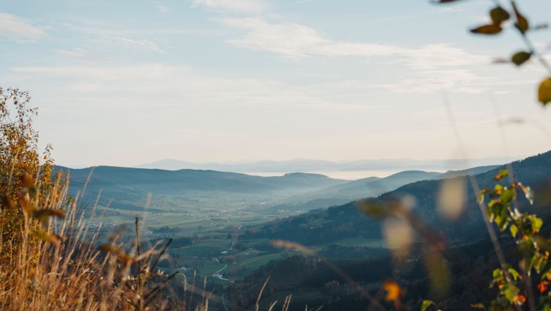Blick ins Yspertal, © Waldviertel Tourismus, Line Sulzbacher Blick ins Yspertal, © Waldviertel Tourismus, Line Sulzbacher