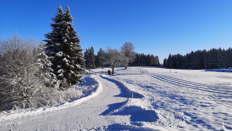 Access and trail, © Friedlhof Access and trail, © Friedlhof
