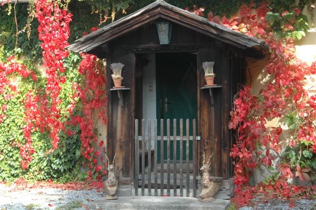 Eingang, © SSz Eingang, © SSz