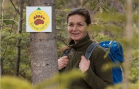 Bärentrail, © © BÄRENWALD, Matthias Schickhofer Bärentrail, © © BÄRENWALD, Matthias Schickhofer