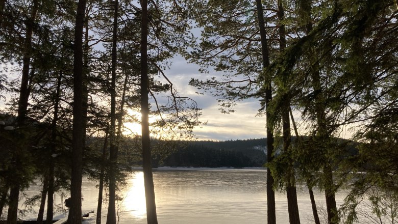 Der Edlesbergerteich mit Eis, © Dieter Juster Der Edlesbergerteich mit Eis, © Dieter Juster