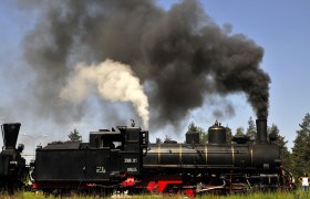 Waldviertel Narrow-gauge railway, © Waldviertel Tourismus, Reinhard Mandl Waldviertel Narrow-gauge railway, © Waldviertel Tourismus, Reinhard Mandl