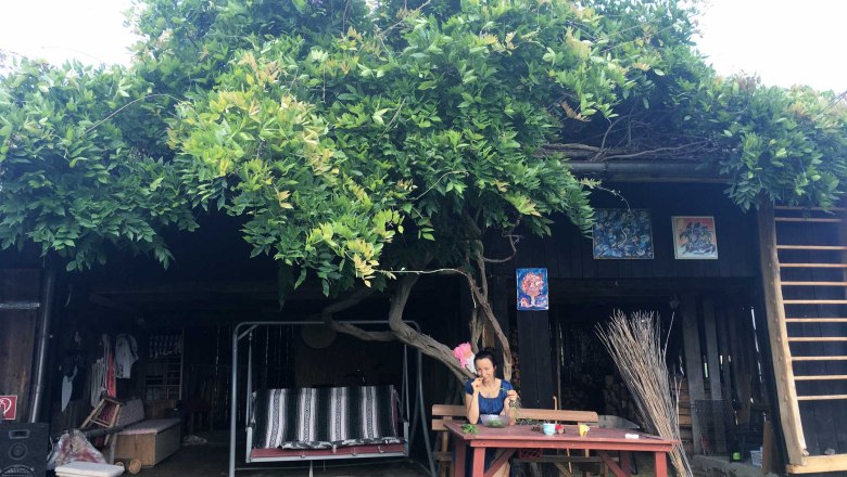 Hollywoodschaukel unterm Blauregen, © Peter Brezina Hollywoodschaukel unterm Blauregen, © Peter Brezina