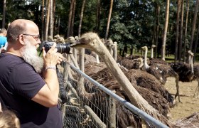 dscf1110_web, © Straußenland dscf1110_web, © Straußenland