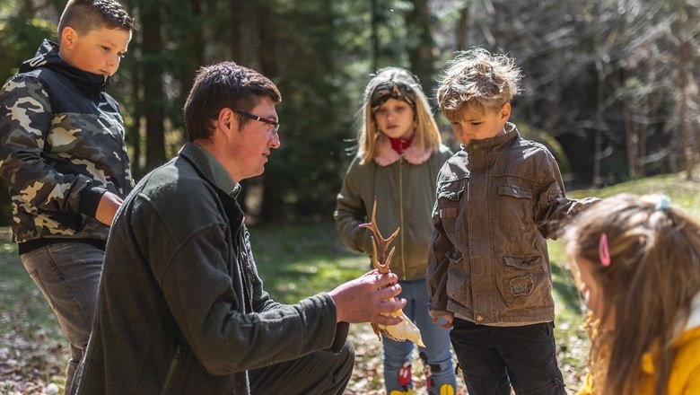 Einblicke Jagd Hege und Pflege, © Wunderwelt Wald, Fotograf Benjamin Wald Einblicke Jagd Hege und Pflege, © Wunderwelt Wald, Fotograf Benjamin Wald