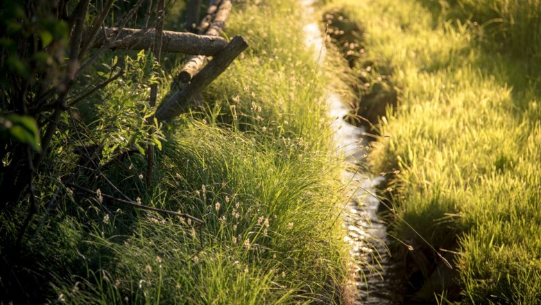 Bächlein, © Landhaus Lunkowitz Bächlein, © Landhaus Lunkowitz
