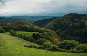 Lebensweg, Wandern, Weitwandern, © Waldviertel Tourismus, Melanie Többe Die sanften Hügel und üppigen Wälder laden zu unvergesslichen Wanderungen ein. Hier, wo die Natur in voller Pracht erblüht, können Besucher die frische Bergluft genießen und die Seele baumeln lassen.