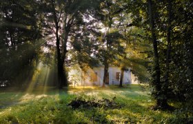 Gartenpavillon Grafenegg, © Natur im Garten/Alexander Haiden Ein Pavillon im Wald mit Sonnenstrahlen, die durch die Bäume scheinen.
