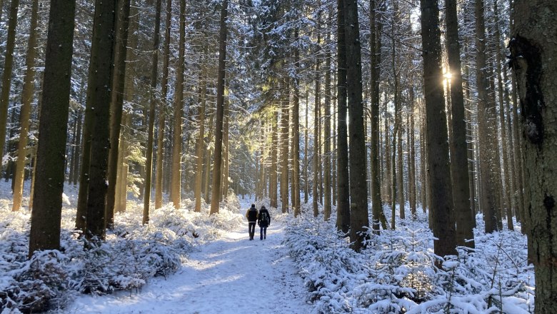 Winterwandern im Weinsbergerwald, © Dieter Juster Winterwandern im Weinsbergerwald, © Dieter Juster