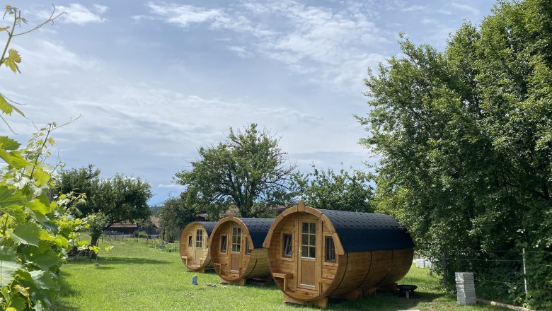 ANDRELLA-HOF by day, © Andreas Artner ANDRELLA-HOF by day, © Andreas Artner