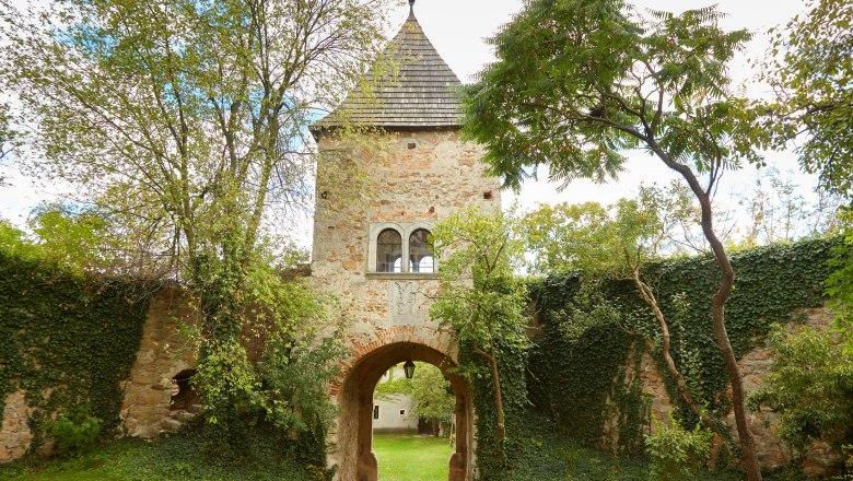 Burg Burgschleinitz, © Waldviertel Tourismus, lichtstark.com Ein mittelalterlicher Burgturm mit einem Torbogen, umgeben von Bäumen und Efeu bewachsenen Mauern.