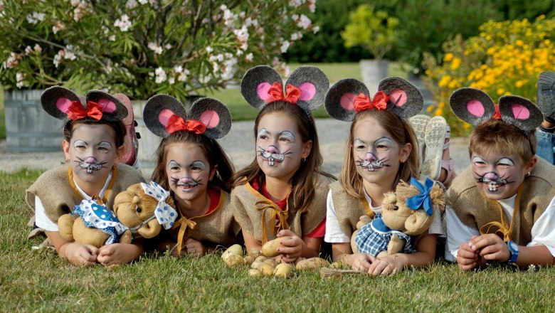 Potato festival, © ARGE Erdäpfelfest Geras Potato festival, © ARGE Erdäpfelfest Geras