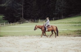 Pferdeland, © Eichbergers Pferdeland, © Eichbergers