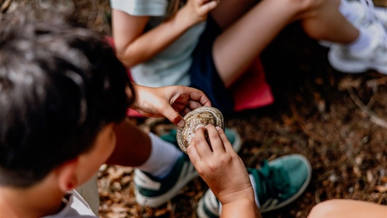 Waldschule Waldviertel, © Waldviertel Tourismus, Matthias Streibel Kinder betrachten einen Pilz im Wald.