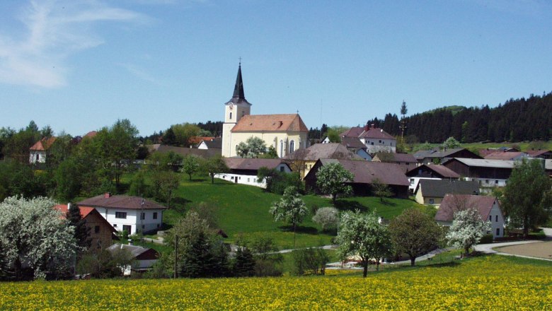 Gemeinde Sankt Oswald, © Gemeinde Sankt Oswald Landschaft mit Kirche und Dorf im Hintergrund, umgeben von blühenden Bäumen und Wiesen.