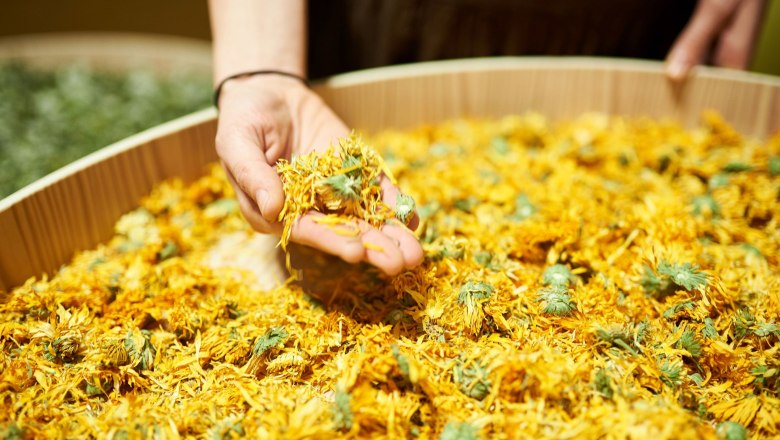 Betriebsführung, © SONNENTOR/ @nudlholz.at Eine Hand hält getrocknete gelbe Blüten über einem großen Holzbehälter voller Blüten.