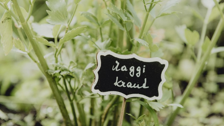 Vielfältige Kräuter-Sirupe, © Niederösterreich Werbung/Rita Newman Nahaufnahme von grünen Kräutern mit einem Schild, auf dem 'Maggikraut' steht.