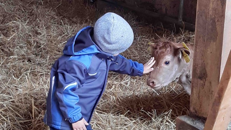 image1semperstefan, © Semper Stefan image1semperstefan, © Semper Stefan