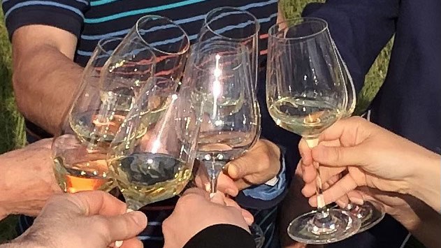 Weinerlebniswanderung, © Kamptal Alpakas, Herr Popp Weinerlebniswanderung, © Kamptal Alpakas, Herr Popp